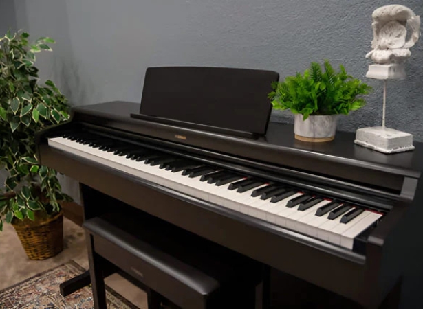 Đánh giá Yamaha YDP-165 & YDP-S55