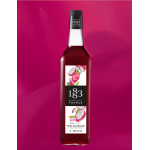 SYRUP 1883 DRAGON FRUIT 