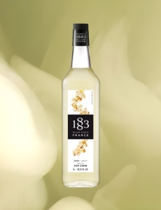 SYRUP 1883  POPCORN
