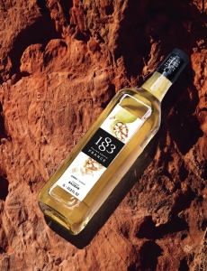 SYRUP 1883 BAOBAB 