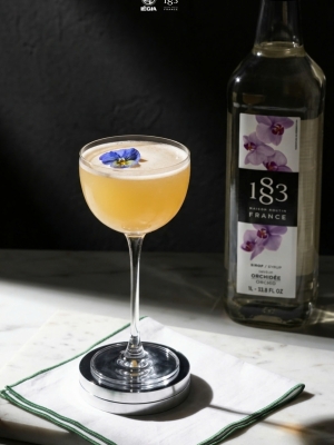 Bí Quyết Pha Chế Orchid Gin Sour – Bản Giao Hưởng Hương Sắc Từ 1883 Orchid Syrup