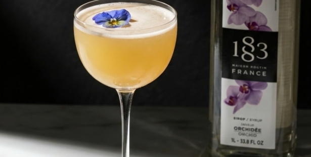 Bí Quyết Pha Chế Orchid Gin Sour – Bản Giao Hưởng Hương Sắc Từ 1883 Orchid Syrup