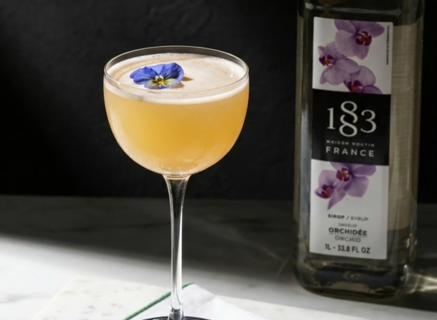 Bí Quyết Pha Chế Orchid Gin Sour – Bản Giao Hưởng Hương Sắc Từ 1883 Orchid Syrup
